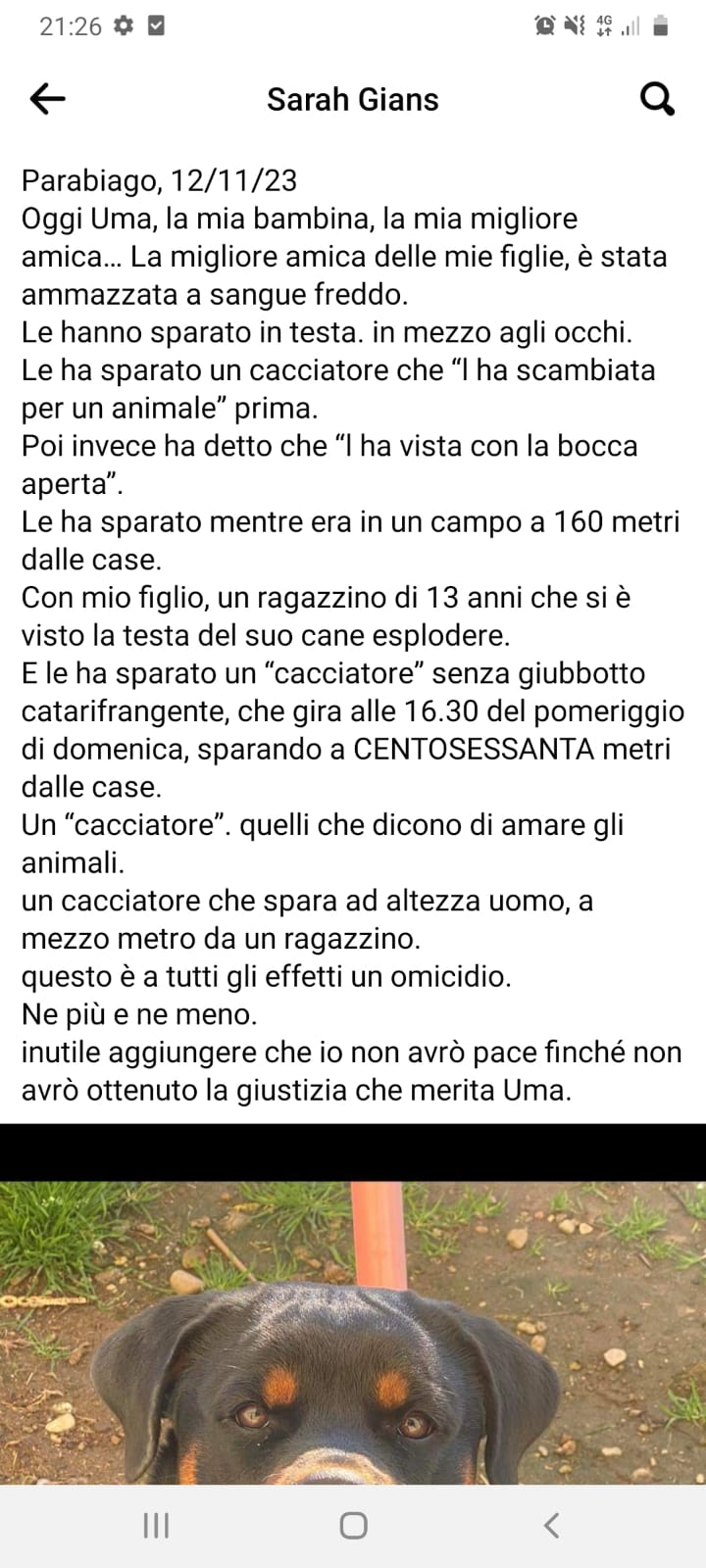 rott uccisa 401085706_647120167594962_8510477087343120366_n - copia